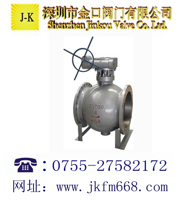 蝸輪側裝式偏心半球閥